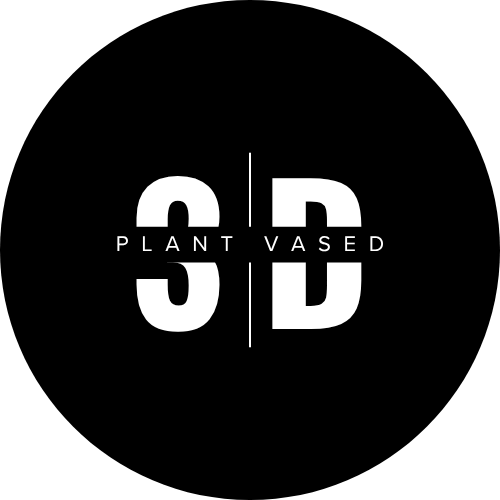Plant Vased 3D